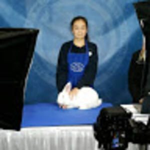 Meet your Posher, Isabella